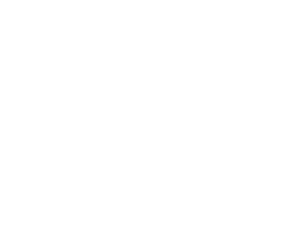 logo_login